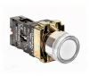D22mm Ledli Yaylı Buton (Led: 230VAC)