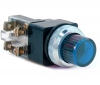 D30mm Işıklı Buton (Neon: 230VAC)