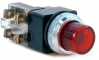 D30mm Light Push Button (Light:220V Neon)